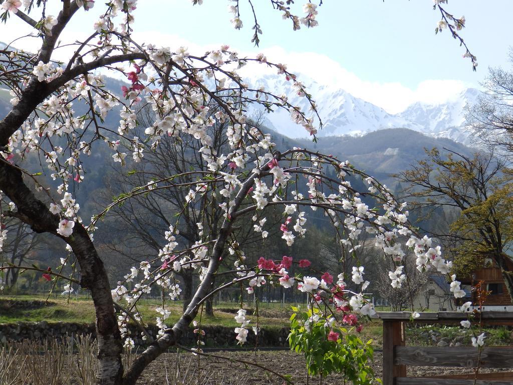 Heidihof Hotel Hakuba Exterior photo