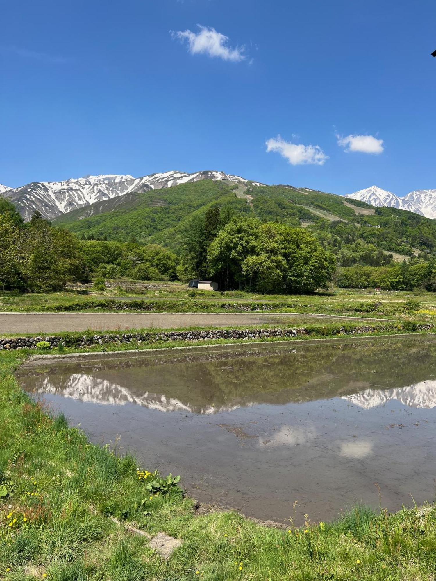 Heidihof Hotel Hakuba Exterior photo